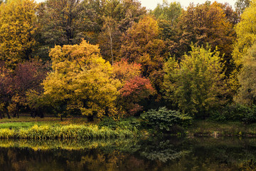 Obraz premium Beautiful autumn landscape of colorful trees near the pond in the park