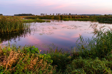 Poranek nad Narwią © podlaski49