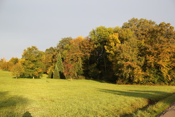 Fototapeta premium Der Herbst 3