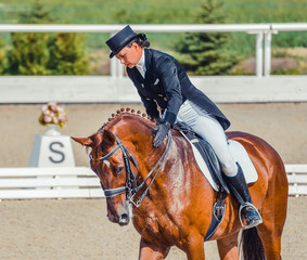 Young elegant rider woman and sorrel horse. Beautiful girl at advanced dressage test on equestrian competition. Professional female horse rider, equine theme. Saddle, bridle, boots and other details.