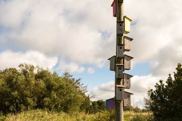 Many wooden boxes for birds hanging on an electricity pole