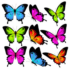 beautiful color butterflies,set, isolated  on a white