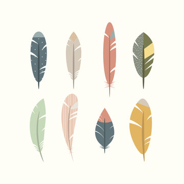 Different feathers of birds. vector illustration