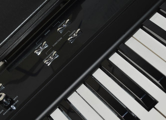 macro photo black and white piano keyboard buttons