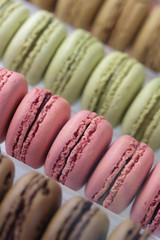Close-up of colorful macarons in a shop window
