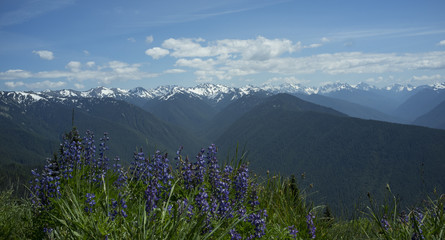 Olympic Mountains