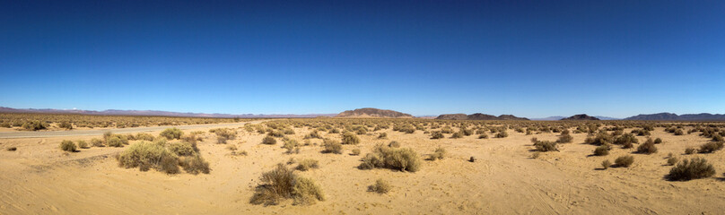Fototapeta na wymiar Wüste Mojave, USA, Nevada, Natur 