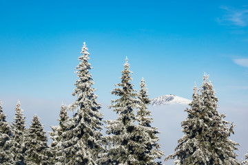 Winter im Riesengebirge in der Tschechische Republik