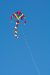 Drachen fliegt im blauen Himmel