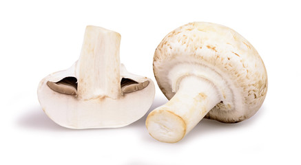 Isolated mushrooms. Fresh champignon mushrooms isolated on white background with clipping path