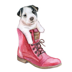 Cute French bulldog puppy in a shoe. Dog black and white isolated on white background. Watercolor. Illustration. Template.