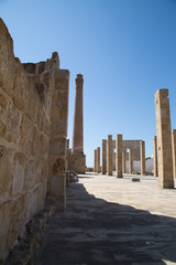 Tonnara di Vendicari, Riserva naturale orientata Oasi faunistica di Vendicari 