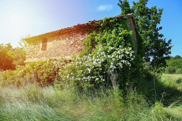 abandoned house in provence