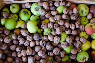 many organic nuts and apples on pile