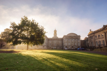 Backlit Tree Sunrays York UK