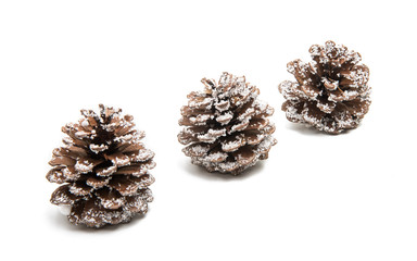 pine cones isolated