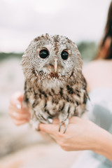 wedding decor with owls and printing, Bridal bouquet and rings