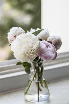 Small bouquet of peonies on a window sill