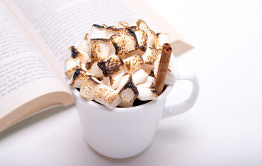 Winter home scene,still life. Book and cup of sweet cocoa with toasted marshmallows on white background.Holiday, weekend concept.