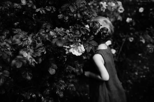 Black and white anonymous image of a small girl in a rose garden.