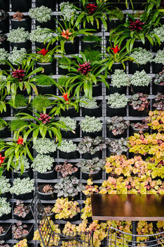 vertical garden with a diagonal theme