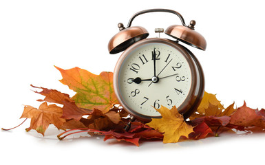 retro alarm clock in autumn leaves