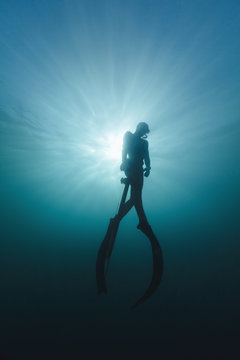 Spearfisherman diving out from the blue