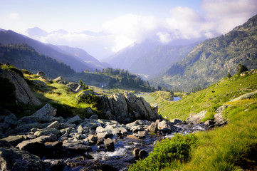 Fototapeta premium Little Torrent in Pyrenees