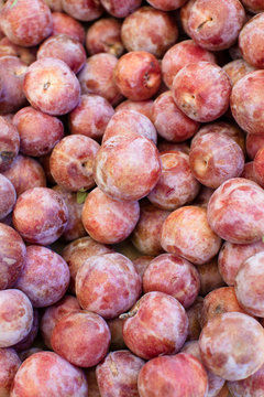 Hybrid fruit - apricot and plum - Pluot