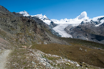 Switzerland Alps in the summer