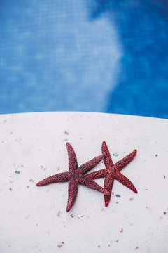 Two red starfishes at the pool