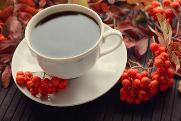 A Cup of hot coffee and autumn Rowan branch with berries