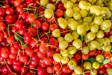 red and yellow cherries