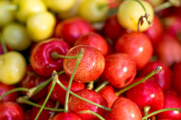 Yellow and red cherries