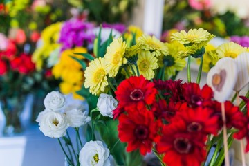 Beautiful red and yellow gerbera daisies