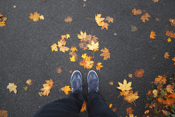 A man stands on asphalt street with colorful autumn season leaves on the floor. Point of view perspective used. 