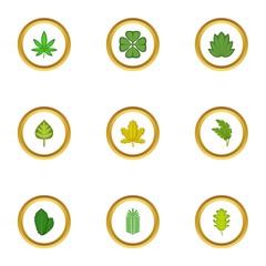 Green leaf icons set, cartoon style