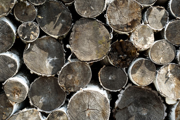 Wood Logs in a Stack Pattern