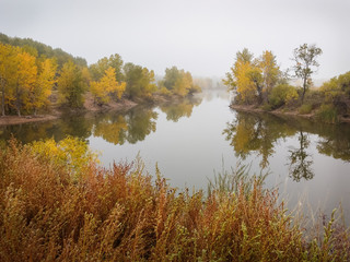 Fall Trees and Lake Reflection on a Foggy Morning