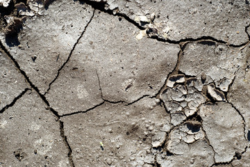 Obraz premium Cracked Dry Mud