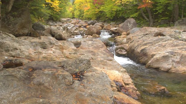 CLOSE UP: Clear mountain stream river flowing between stones and splashing over rocks in small cascade waterfall. Gorgeous colorful fall foliage woods. Lush dense autumn forest in bright fall colors