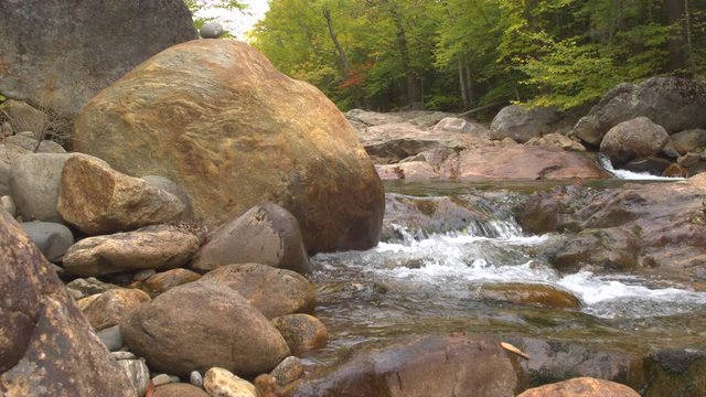 CLOSE UP: Water cascading down over pebble rocks to small green pool in gorgeous autumn color forest. Small brook splashing over stones in riverbed. Lush dense fall foliage woods in river valley