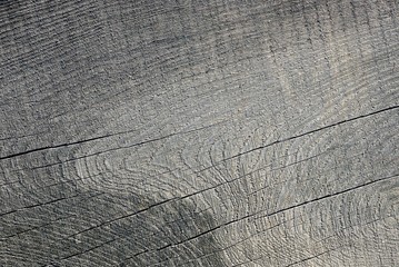 Fototapeta premium серая текстура из сухого среза дерева с трещинами