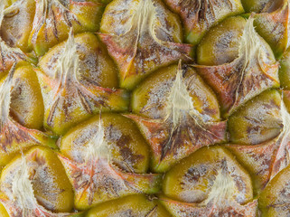 texture of pineapple skin