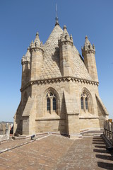 Fototapeta na wymiar Portugal - Evora - La Sé, Cathédrale Notre-Dame-de-l'Assomption - Toit et tour octogonale
