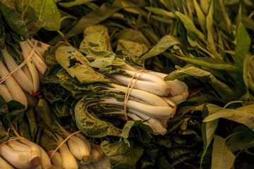 Organic green Chinese bok choy
