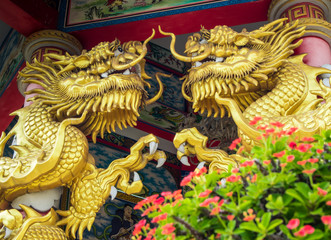 Fototapeta premium Gold dragon sculpture and Red flower of Christ Thorn in Chinese religious venues