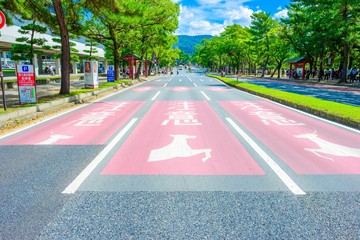奈良の街並み 日本