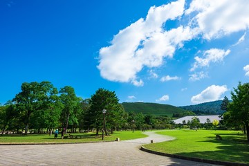 奈良 若草山