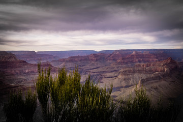 Grand Canyon National Park, September, 27  2017 - Images from Grand Canyon National Park